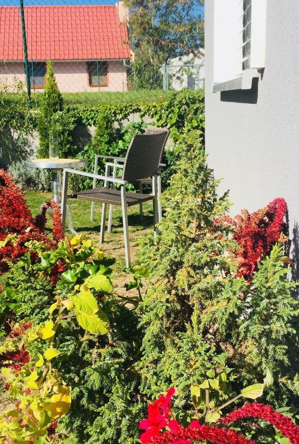 Apartman U Zamecke Dyje Lednice Zewnętrze zdjęcie